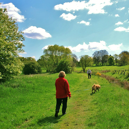 wandelen